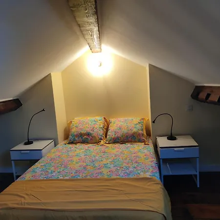 Duplex Cosy - Centre - Wifi * シャマリエール